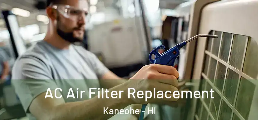  AC Air Filter Replacement Kaneohe - HI