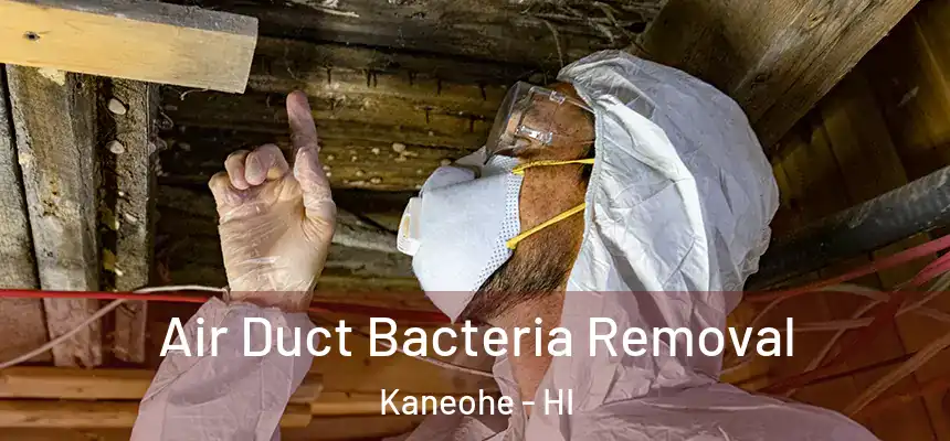 Air Duct Bacteria Removal Kaneohe - HI