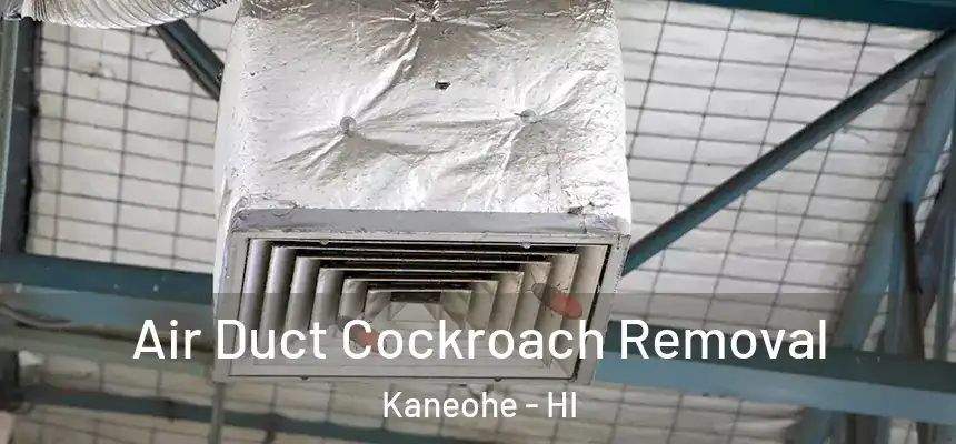 Air Duct Cockroach Removal Kaneohe - HI