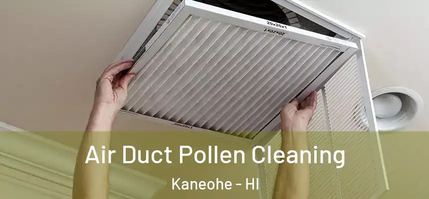Air Duct Pollen Cleaning Kaneohe - HI