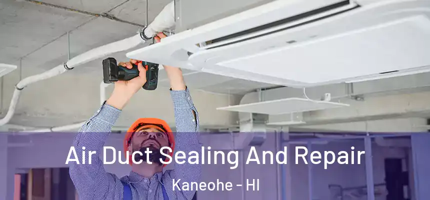  Air Duct Sealing And Repair Kaneohe - HI