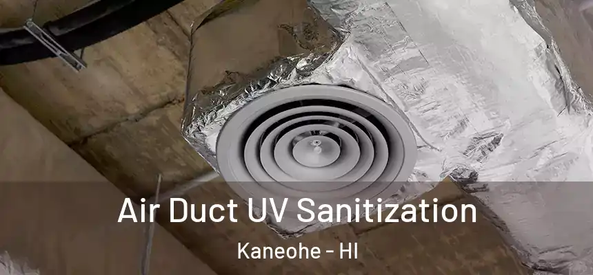  Air Duct UV Sanitization Kaneohe - HI
