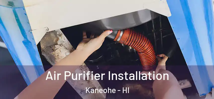 Air Purifier Installation Kaneohe - HI