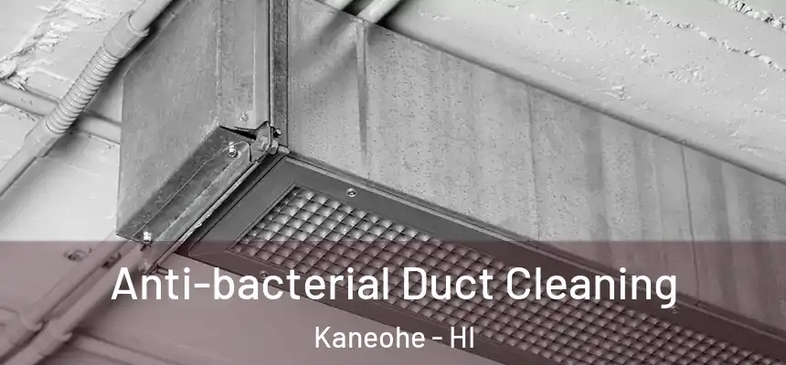Anti-bacterial Duct Cleaning Kaneohe - HI