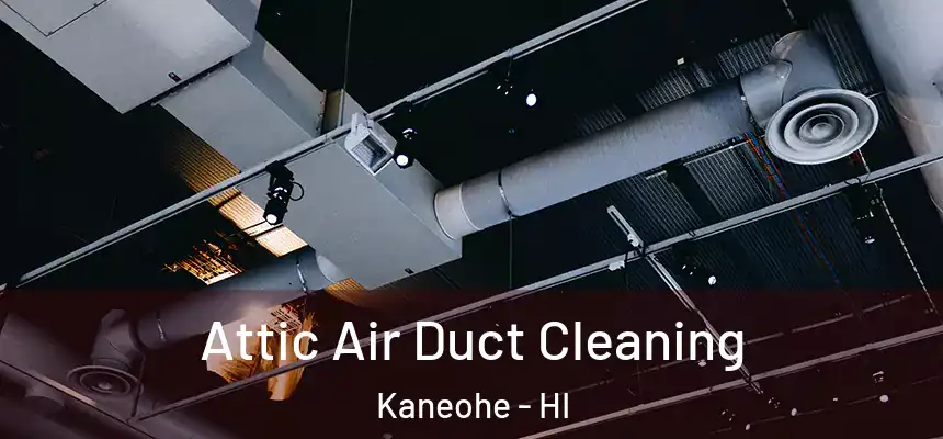 Attic Air Duct Cleaning Kaneohe - HI