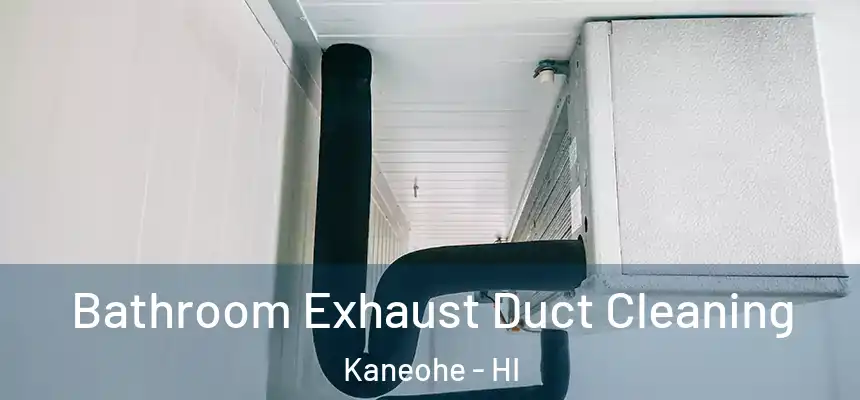 Bathroom Exhaust Duct Cleaning Kaneohe - HI