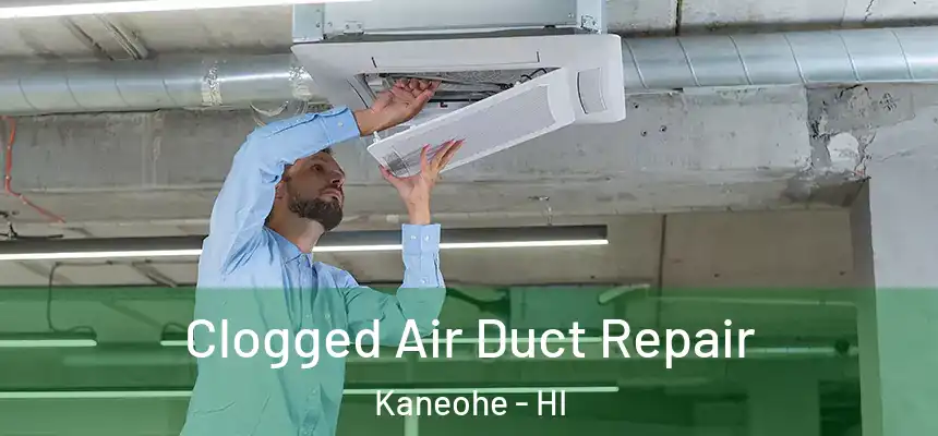 Clogged Air Duct Repair Kaneohe - HI