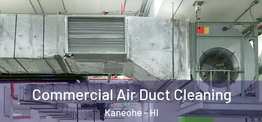 Commercial Air Duct Cleaning Kaneohe - HI
