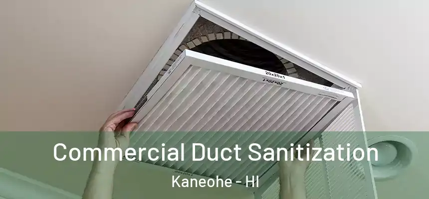 Commercial Duct Sanitization Kaneohe - HI