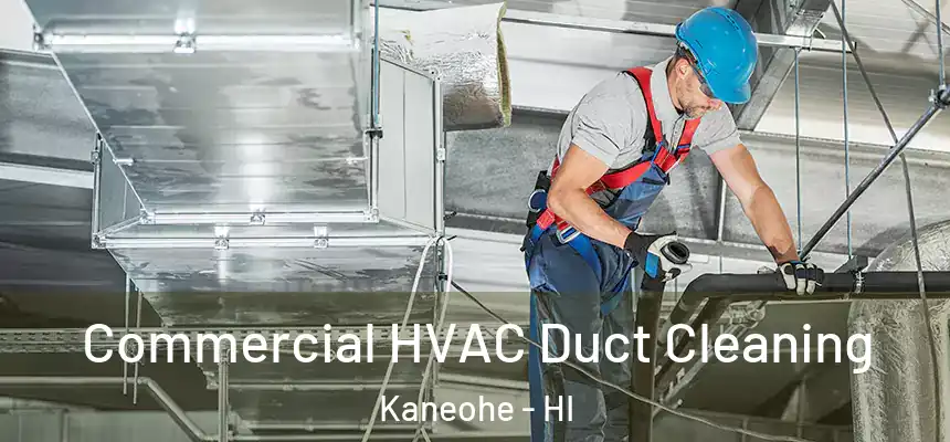 Commercial HVAC Duct Cleaning Kaneohe - HI