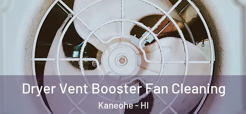 Dryer Vent Booster Fan Cleaning Kaneohe - HI