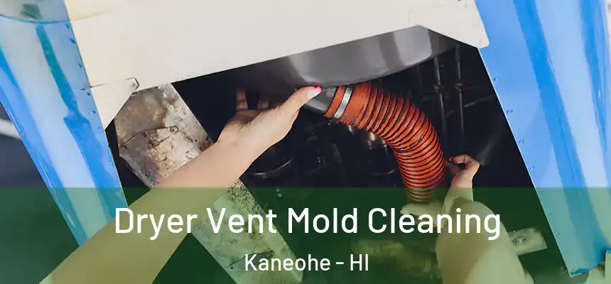  Dryer Vent Mold Cleaning Kaneohe - HI