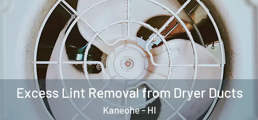 Excess Lint Removal from Dryer Ducts Kaneohe - HI