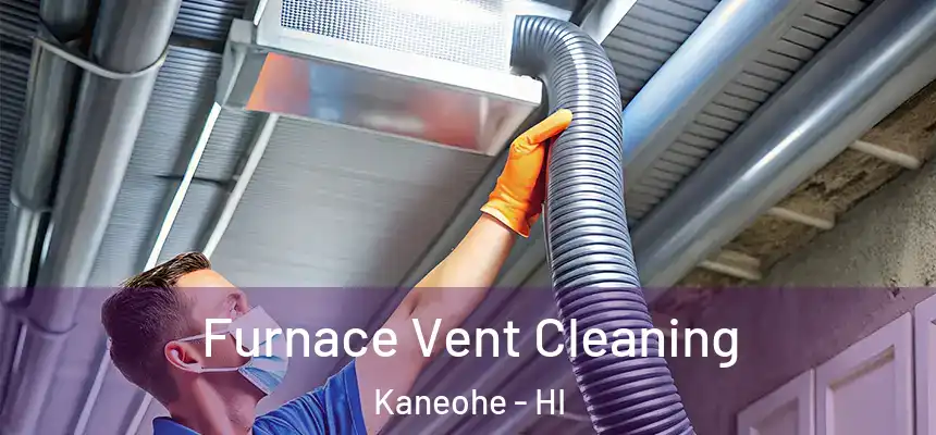  Furnace Vent Cleaning Kaneohe - HI