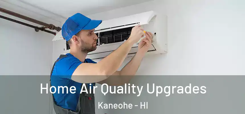  Home Air Quality Upgrades Kaneohe - HI