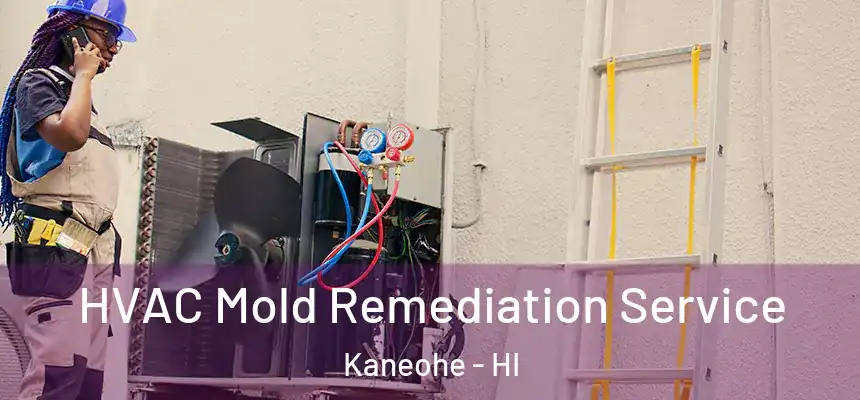 HVAC Mold Remediation Service Kaneohe - HI