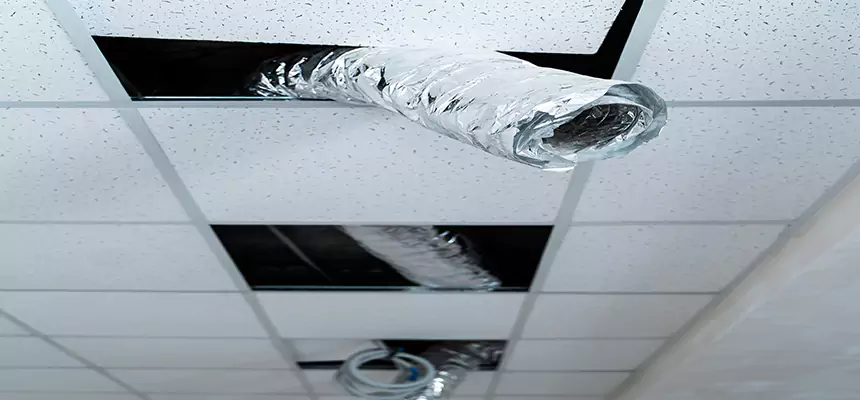 Our Air Duct Pet Hair Removal Services in Kaneohe, HI