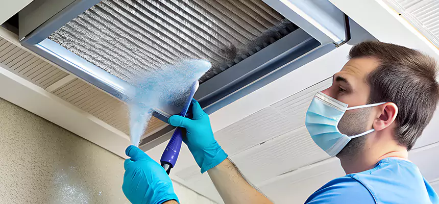 Proactive Dryer Vent & Auxiliary Duct Pollen Cleanup in Kaneohe, HI