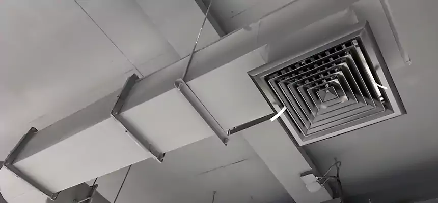 Our Pest Removal From Ducts Services in Kaneohe, HI