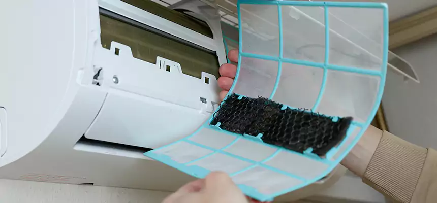 Gentle Ductwork Odor-Control Pet Dander Duct Cleaning in Kaneohe, HI