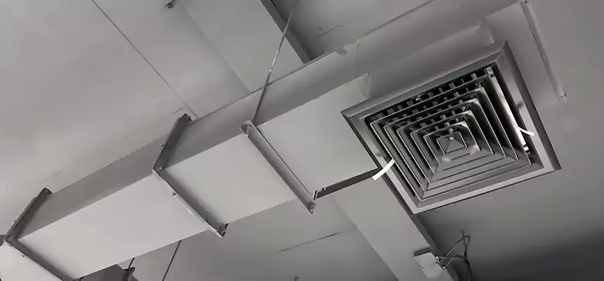 Our Rodent Droppings In Vents Services in Kaneohe, HI