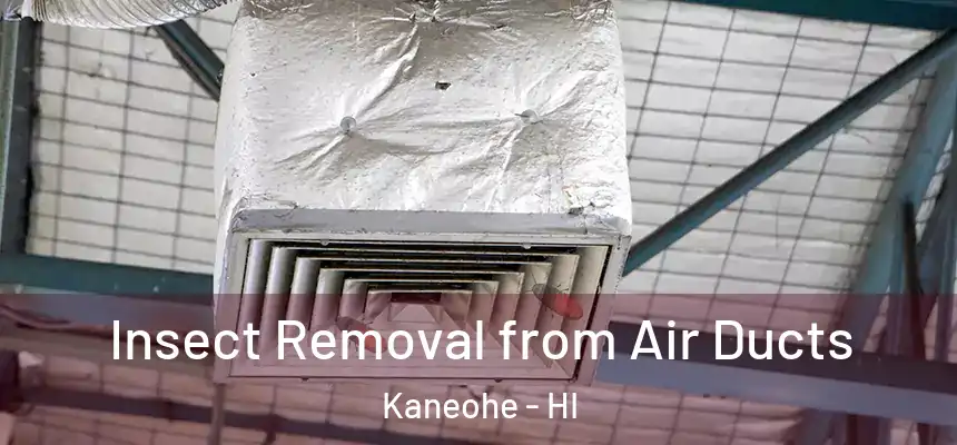Insect Removal from Air Ducts Kaneohe - HI