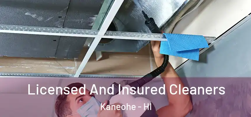 Licensed And Insured Cleaners Kaneohe - HI