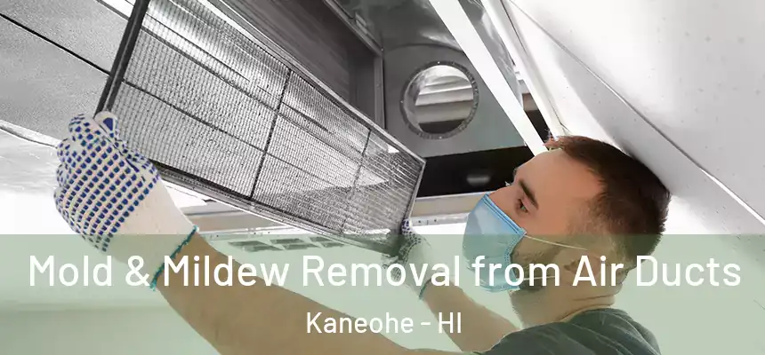 Mold & Mildew Removal from Air Ducts Kaneohe - HI