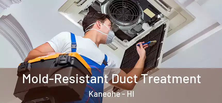 Mold-Resistant Duct Treatment Kaneohe - HI