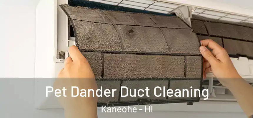  Pet Dander Duct Cleaning Kaneohe - HI