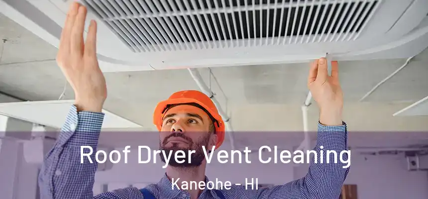 Roof Dryer Vent Cleaning Kaneohe - HI