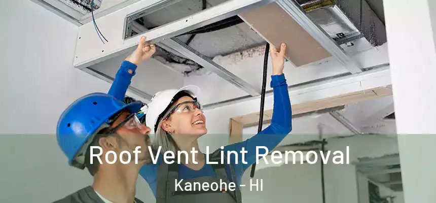 Roof Vent Lint Removal Kaneohe - HI