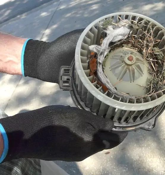 About Air Duct Mice Removal in Kaneohe, HI