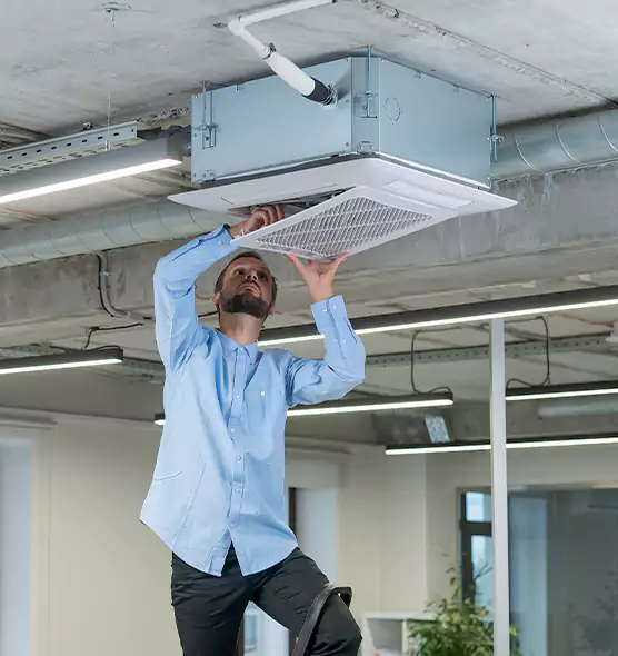 Advanced Rodent Droppings In Vents in Kaneohe, HI