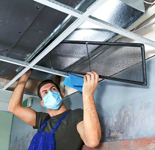 Why Homeowners Businesses Trust Us in Kaneohe, HI