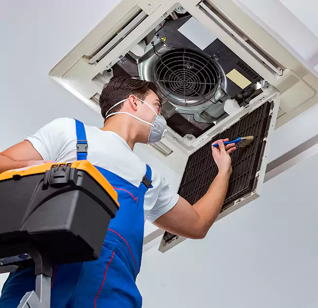 Why Homeowners & Businesses Trust Us in Kaneohe, HI