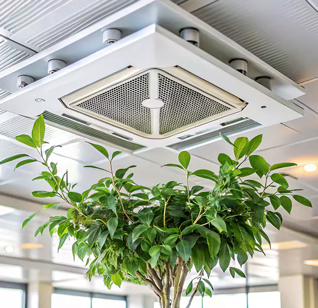 Why Homeowners & Businesses Trust Us in Kaneohe, HI?