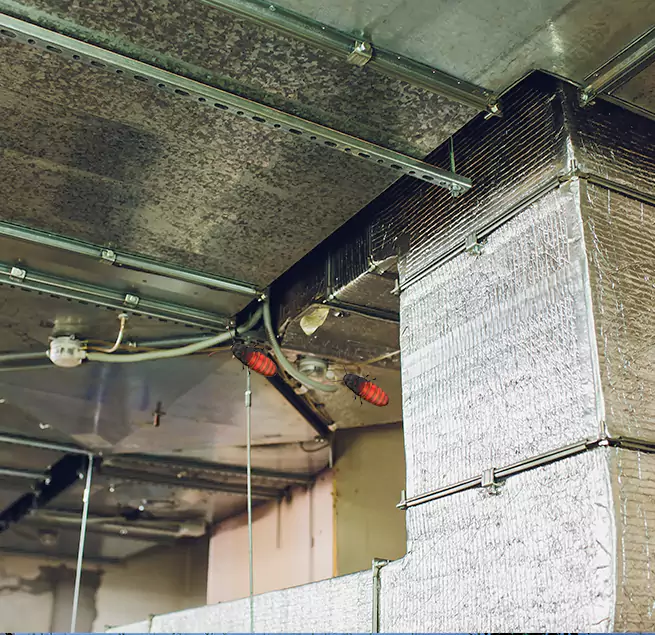 Why Homeowners & Businesses Trust Us Kaneohe, HI?