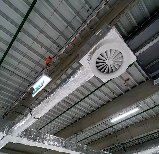 Why Homeowners & Businesses Trust Us in Kaneohe, HI?