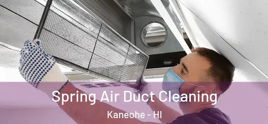 Spring Air Duct Cleaning Kaneohe - HI
