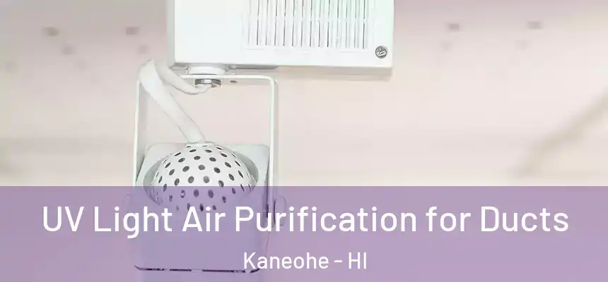  UV Light Air Purification for Ducts Kaneohe - HI