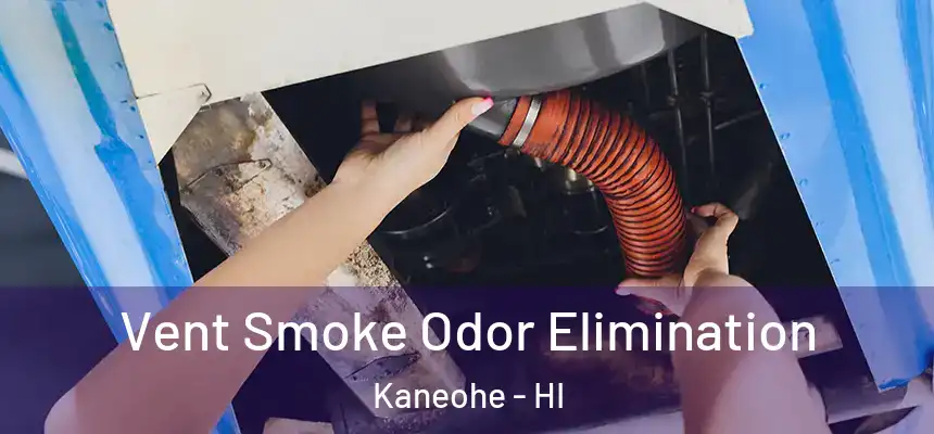 Vent Smoke Odor Elimination Kaneohe - HI