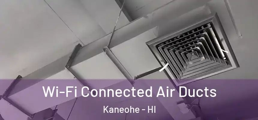 Wi-Fi Connected Air Ducts Kaneohe - HI
